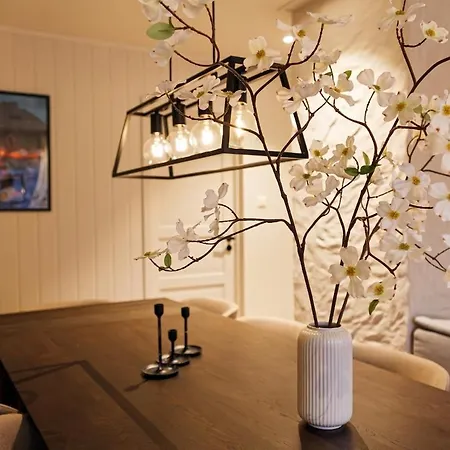 Reinebringen Trail House 펜션